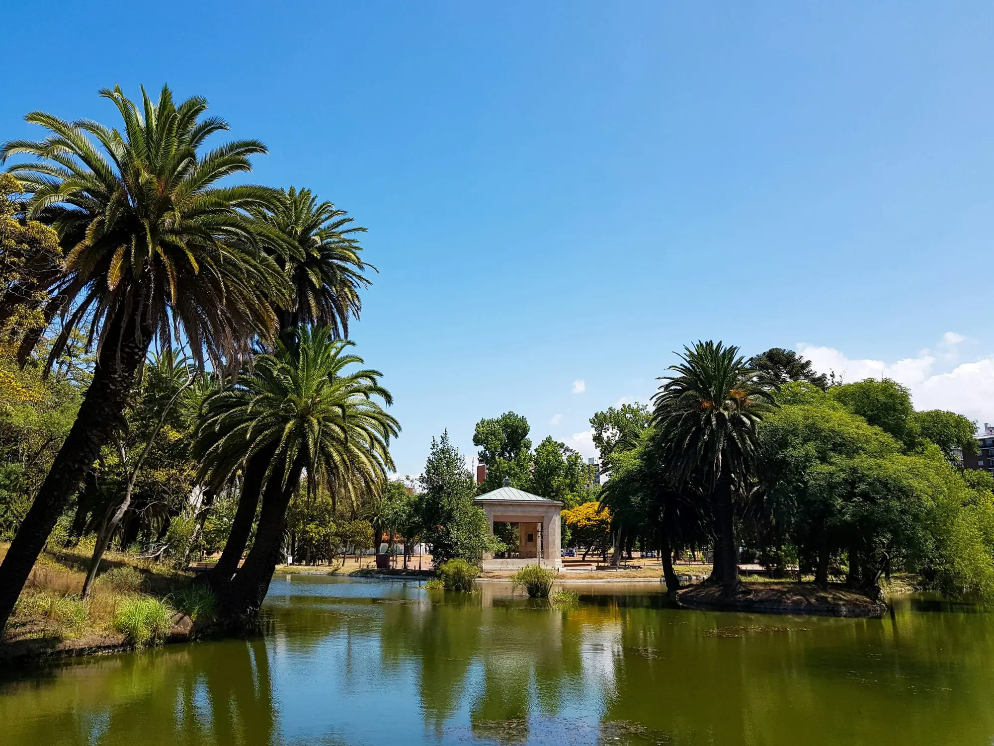 Lago del Parque Rodó con palmeras